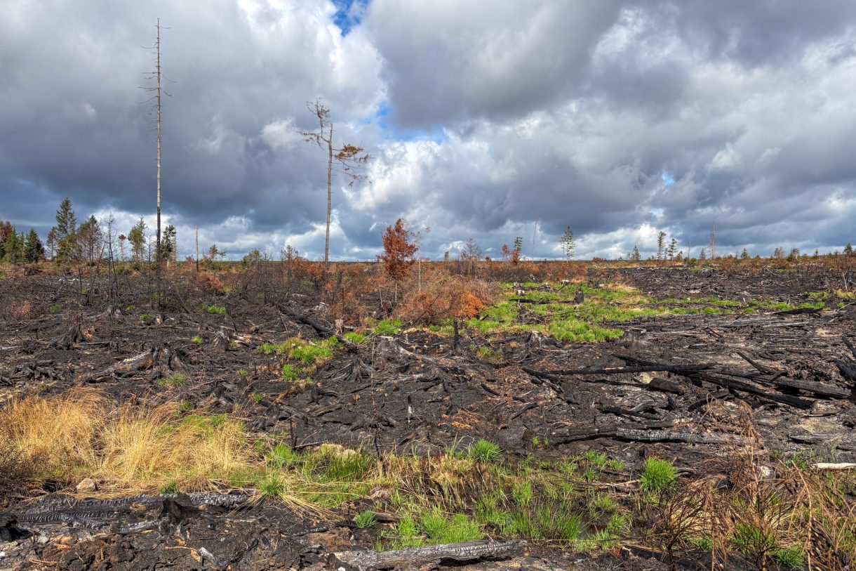 Verbrannte Vennlandschaft