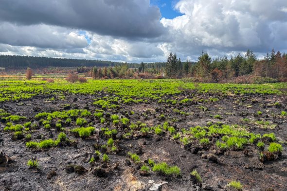 Verbrannte Vennlandschaft