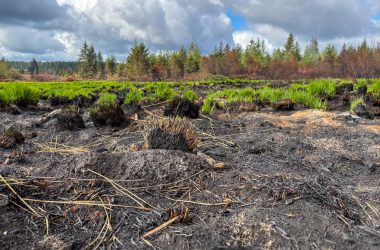 Verbrannte Vennlandschaft