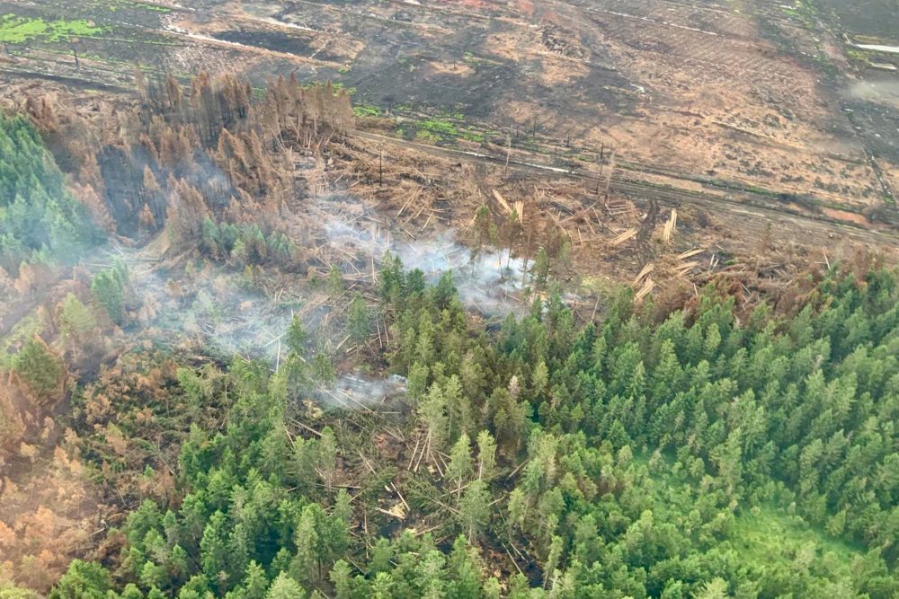 Luftaufnahme zeigt Rauch über wiederaufgeflammtem Feuer im Hohen Venn