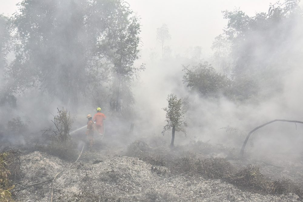 Feuerwehrmänner bekämpfen Waldbrand auf Indonesien