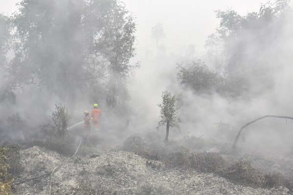 Feuerwehrmänner bekämpfen Waldbrand auf Indonesien