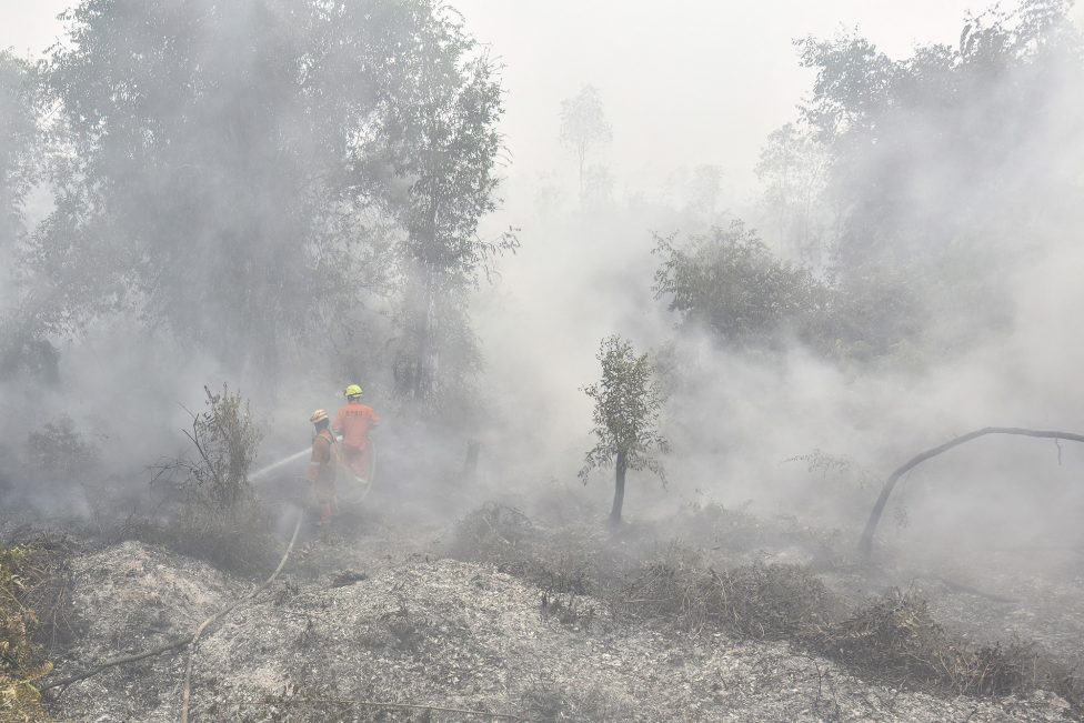 Feuerwehrmänner bekämpfen Waldbrand auf Indonesien