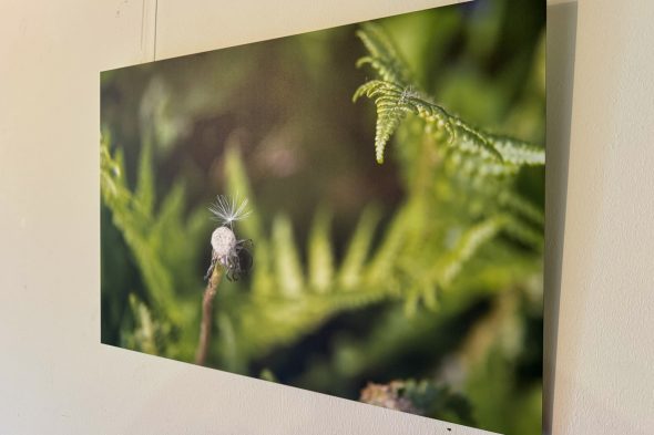 Ausstellung "Unterwegs in einer anderen Welt" im BRF-Funkhaus