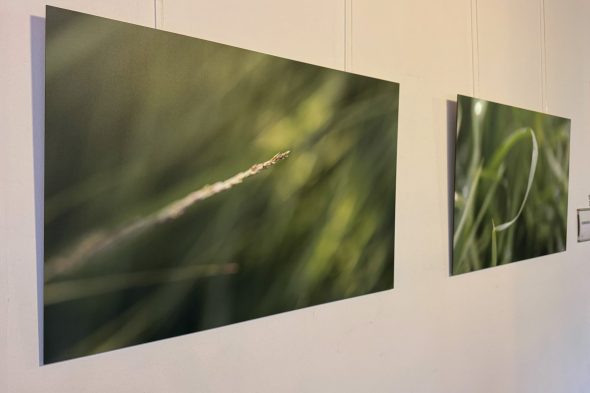 Ausstellung "Unterwegs in einer anderen Welt" im BRF-Funkhaus