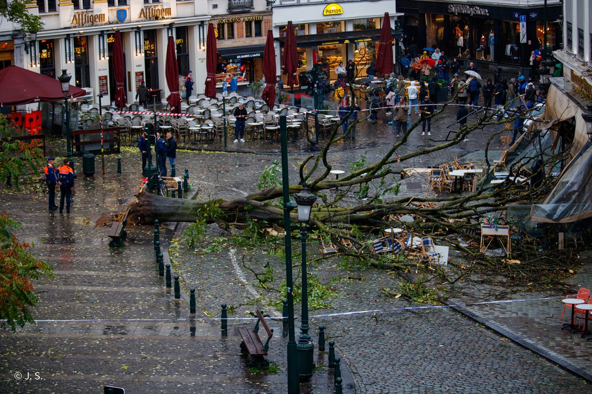 Umgekippter Baum in der Rue du Marché aux Herbes in Brüssel
