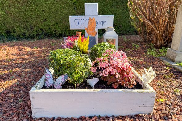 Grab auf Walhorner Friedhof