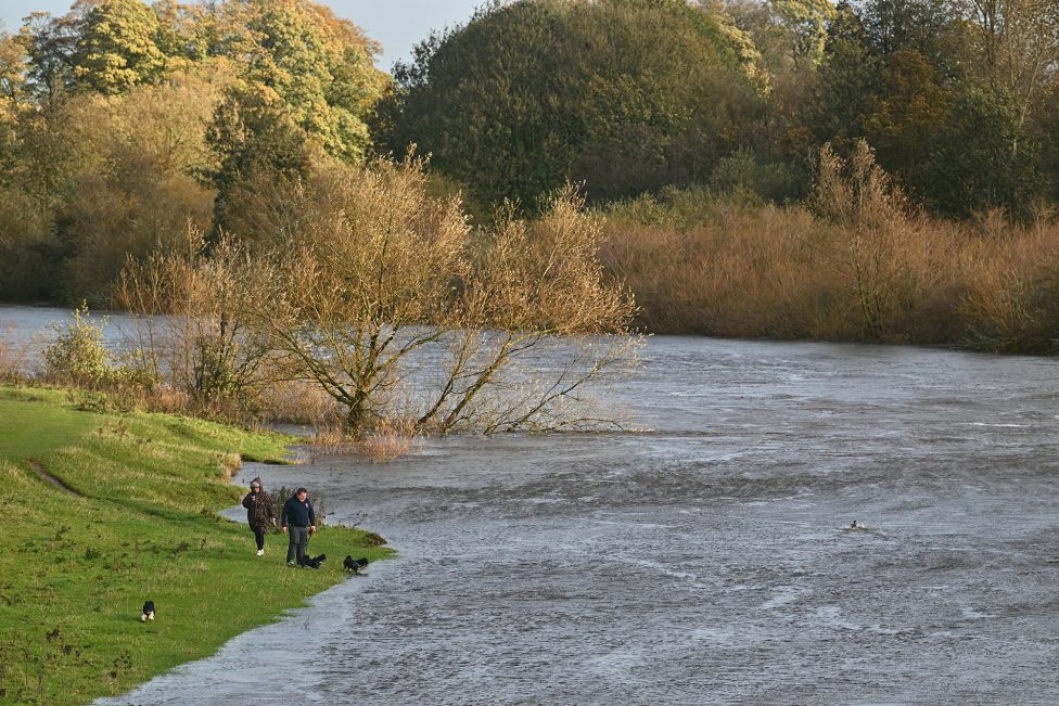 Spaziergänger mit Hund am Ufer des angeschwollenen Flusses Eden Carlisle im Nordwesten Englands