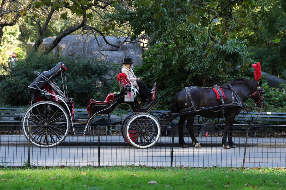 Kutsche fährt durch den Central Park