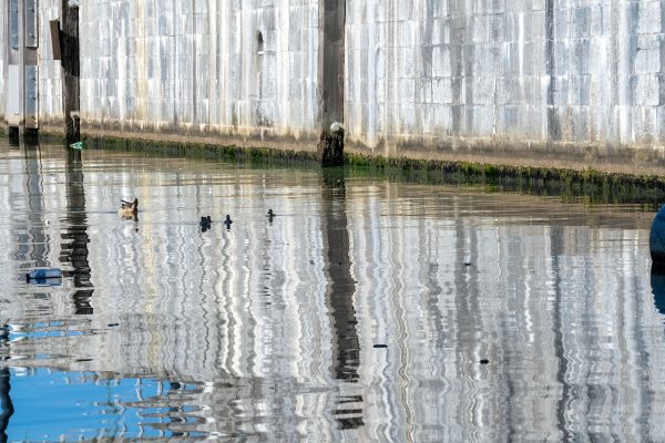 Niedriger Wasserstand im Brüssel-Charleroi-Kanal