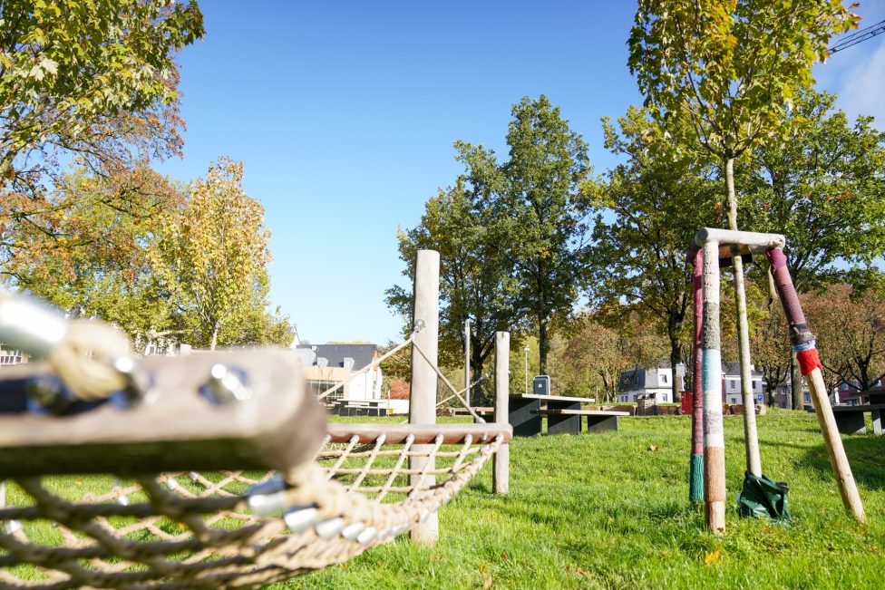 Grünfläche im Scheiblerpark mit Hängematte