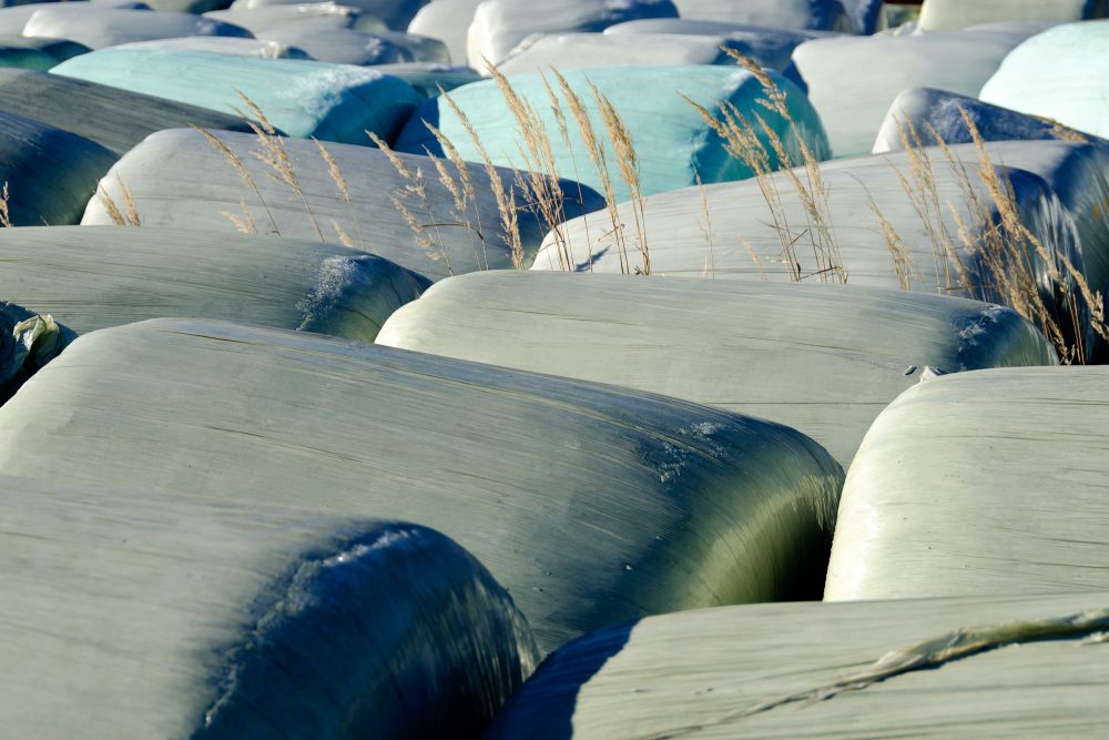 Siloballen, in Plastik eingewickelt, auf einem Feld