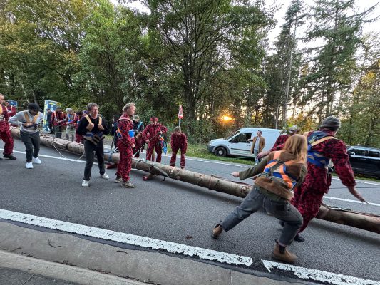 Menschen ziehen einen Baum