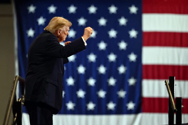 Donald Trump von der Seite, er reckt eine Faust siegesgewiss in die Höhe, im Hintergrund hängt die US-amerikanische Nationalflagge