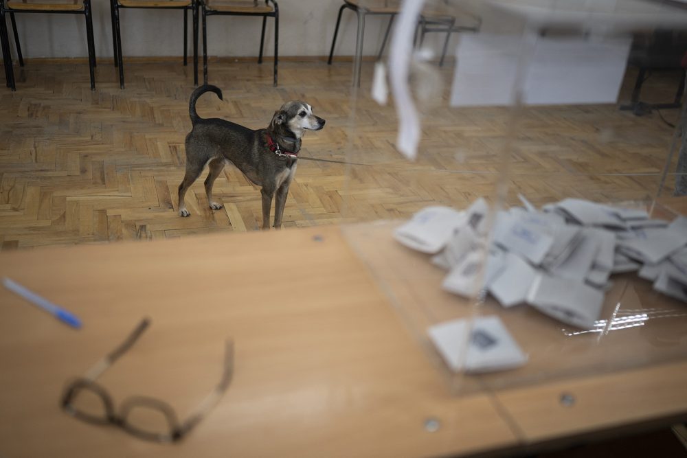 Ein Hund wartet auf seine Besitzerin, während diese in einem Wahllokal in Sofia bei der bulgarischen Präsidentschaftswahl ihre Stimme abgibt.
