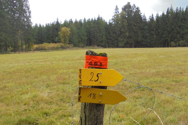 Herbstwanderung: Streckenkennzeichnung (Bild: WC Tapp Tapp Rodt)