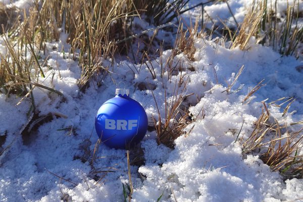 Weihnachtskugel im Schnee_web_Sylke TegtmeierBRFjpg