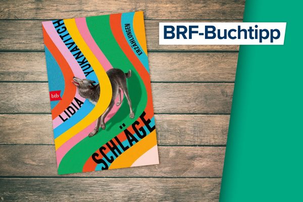 Buchcover von "Schläge" von Lidia Yuknavitch