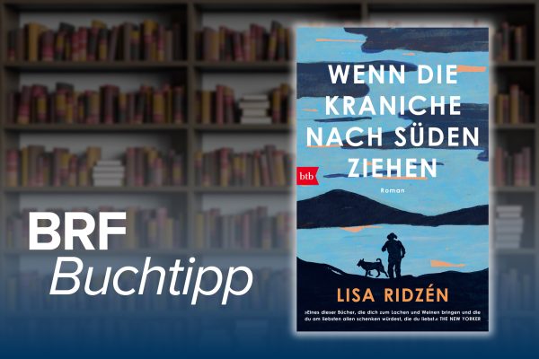 Cover zum Buchtipp: "Wenn die Kraniche nach Süden ziehen" von Lisa Ridzén