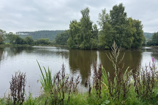 Rechter Weiher
