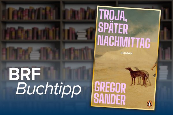 Buchcover des Romans "Troja, später Nachmittag" von Gregor Sander